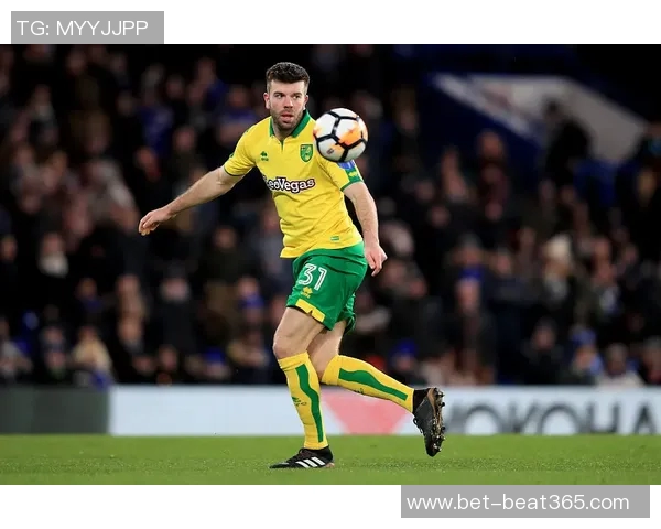 诺维奇与伊普斯维奇的激烈对决揭示英冠赛季新动态